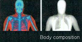 Body composition